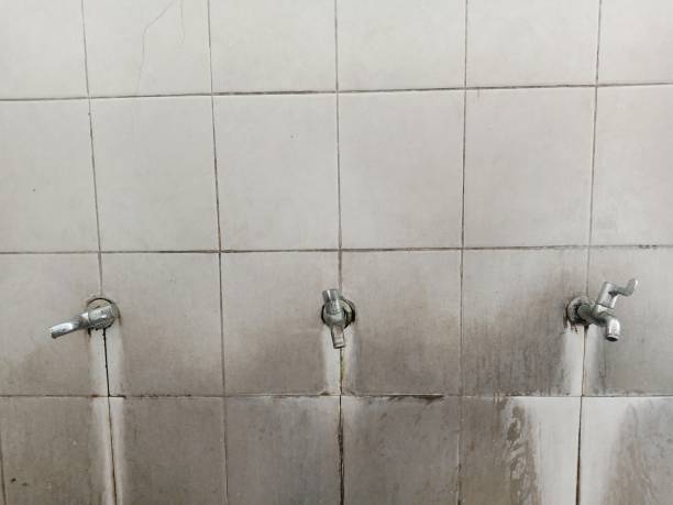 Best Water damage cleanup near me  in Joseph, OR